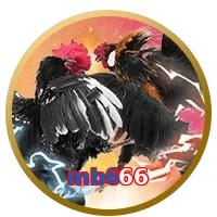 mb666