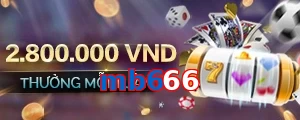 mb666