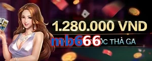 mb666